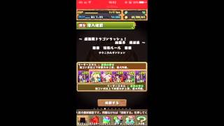 超極限ドラゴンラッシュ【壊滅級】闇アヌビスソロ