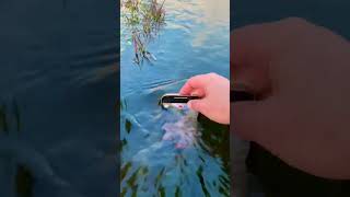 iPhone 13pro max under water video #short reels # #shortvideo #water #beauty