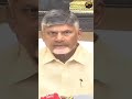 బోర్డు మెంబర్స్ యొక్క వ్యక్తిగత ఆలోచన విధానాలు శ్రీవారికి అప్రతిష్ట తీసుకురావద్దు chandrababu