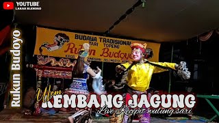 SPESIAL KEMBANG JAGUNG ULEM | Rukun Budoyo Live Kecepit wulung sari