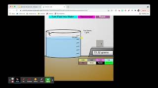 Density Virtual Lab Instructions