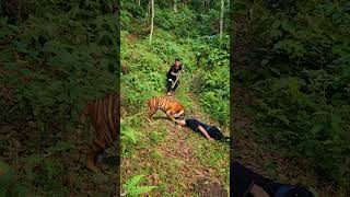 The Tiger Ate All My Friend's Meat part323