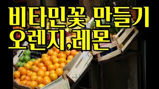 독일꽃집vlog:비타민꽃 만들기,호구 만나 신나는 어른신