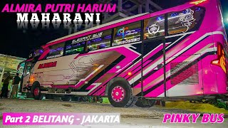 BUS BARU BANYAK PEMINATNYA TERNYATA! | Trip Belitang - Jakarta with Almira MAHARANI Part 2