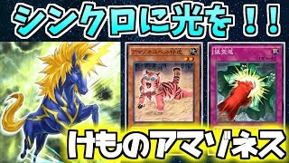 【遊戯王デュエルリンクス】シンクロに光を！！　　けものアマゾネス【ゆっくり実況】