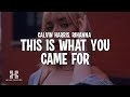 Calvin Harris - This Is What You Came For ft. Rihanna (Lyrics)