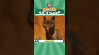 法师:永远要相信科学#娱乐评论大赏#shorts