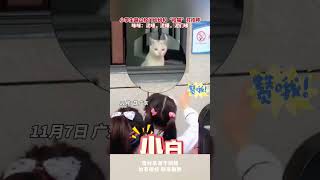 小學生路過校門紛紛和「校貓」打招呼！咪咪：泥嚎，泥嚎，泥們嚎 #cuteanimal #pets #寵物 #cat #萌寵