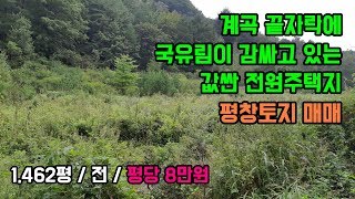 (매매보류)계곡 끝자락 국유림이 감싸고 있는 값싼 전원주택지 토지 매매  / 정선토지박사