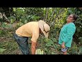 uma colheita que vocÊs nunca viram fartura colheita e almoço caipira