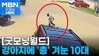 [굿모닝월드] 강아지에게 총 겨눈 10대 [굿모닝 MBN]