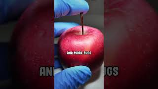 How Apple Look like under Microscope!!😨