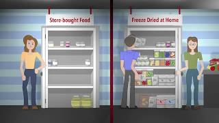 Harvest Right Freeze Dryer vs. Store-bought Freeze Dried Food