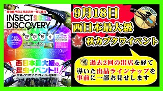 【開始間近！】西日本最大級カブクワイベントのインセクトディスカバリーに出店する際にご提供するカブトムシ・クワガタのラインナップを事前に一部お見せします！