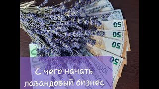 С чего начать лавандовый бизнес.