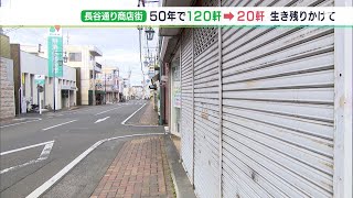 半世紀で120軒がわずか20軒に…「なくなってしまうとゾッとする」商店街の灯を絶やさないため 高校生の視点でPRを始めたワケ（静岡県）