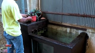 How to build A Beautiful concrete and glass pond for koi fish and goldfish at home