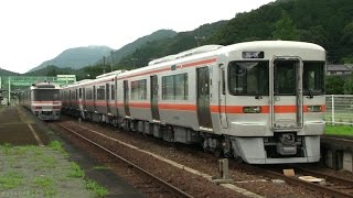 JRキハ25形気動車 紀勢線試運転 川添駅で列車交換 (2015.7.10)