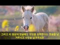 말띠 행운의 숫자로 로또 당첨을 노려보세요. 말띠 로또 번호 호명합니다. 90년생 경오생 78년생 무오생 66년생 병오생 54년생 갑오생