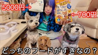 5000円のドックフードと700円のドックフード並べたら愛犬はどっちを食べる？