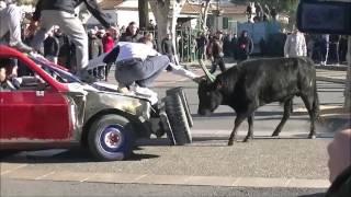 encierro de tau et taureaux neufs à eyragues manade aubanel 15/01/2017