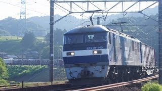 JR貨物 東海道本線 カナキク大カーブ 早朝の下り貨物4本　