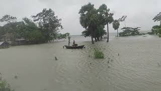 Status of people and animals displaced by cyclone.