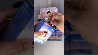 Episode 8: Unboxing Pop Mart’s Hacipupu The Constellation Series Case #blindbox #figures #zodiac