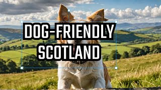 Scotland's 40 Best Dog-Friendly Destinations 🐶🏴