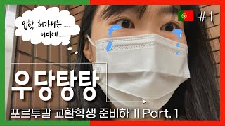 [𝓟𝓸𝓻𝓽𝓾𝓰𝓪𝓵 교환학생] 𝗘𝗣.𝟭 포르투갈 교환학생을 준비하다 | 지원이유, 포르토공대 입학하기, 비자신청