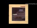 TONY HYMAS / FRANK RICOTTI / STAN SULZMANN - The city never sleeps