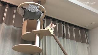 Set Up a Cat Tower(Cat Tree) Two Months After I Adopted a Cat [Munchkin Kitten VLog]