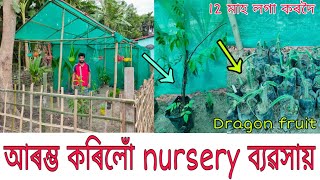 নিজৰ টকাৰে ক্ষুদ্ৰ ব্যৱসায় গঢ়িছোঁ/জ্যোতি nurseryৰ আৰম্ভণি /Nursery at kaki ,Hojai , Assam . Rupjyoti