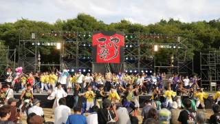 61 丼舞Reタイム　こいや祭り2016 太陽の広場 メイン会場