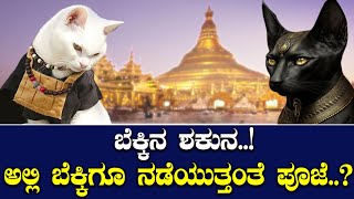 ಬೆಕ್ಕಿನ ಶಕುನ..! ಅಲ್ಲಿ ಬೆಕ್ಕಿಗೂ ನಡೆಯುತ್ತಂತೆ ಪೂಜೆ..?