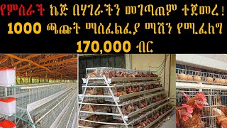 የምስራች በሀገራች ያውም በአዲስአበባ ዘመናዊ ኬጅ መገጣጠም ተጀመረ !!!!!ሌላው ደግሞ በአንድ ግዜ 1000 ጫጬቶችን የማስፈልፈል አቅ ያለው ማሽን የሚፈልግ