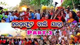 ହରଡ଼ାଫୁଟ ବାଲି ଯାତ୍ରା (Part -2) || ଆଦିବାସୀ ପରମ୍ପରା || କୋରାପୁଟ ସଂସ୍କୃତି ||