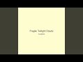 Fragile Twilight Clouds