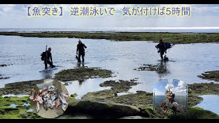 【魚突き】逆潮泳いで気が付けば5時間　2021/1/31