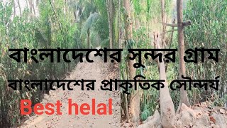 বাংলাদেশের সুন্দর গ্রাম ✅ বাংলাদেশের প্রকৃতি সৌন্দর্য 👌🌳 Bangladesh beautiful village 👍natural view