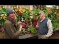 Tour BILTMORE'S ORCHID Conservatory — Ep. 372