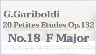 G.Gariboldi Flute Etudes op.132 no.18  가리볼디 에튀드 18번