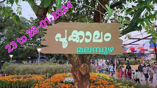 malampuzha flower show മലമ്പുഴ പൂക്കാലം 23 to 28 - 01-2024 Palakkad