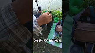 【バス釣り】高級なウキが釣れたから渡したらまさかの……【いせやん】 #琵琶湖バス釣り #bassfishing #おかっぱり #ストリートスナップ #バス釣り