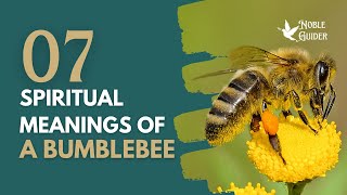 7 Spiritual Meanings of A Bumblebee #spiritualmeaning #bumblebee #spirituality #viralvideo