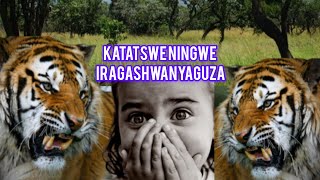 YOOO!! 😧AKANA GATO INGWE🐆IRAGASIMBUKIYE🐯KARIKWIGENDERA😰UWAKAGATABAYE ARIRUKA💃 #foryou