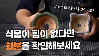 한번 알아두면 평생 써먹는 화분 고르는 방법