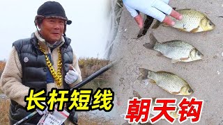 長桿短線朝天鉤傳統釣玩起來吧！ 兄弟們 沒事就得甩兩桿 #传统钓 #釣魚 #fishing #戶外