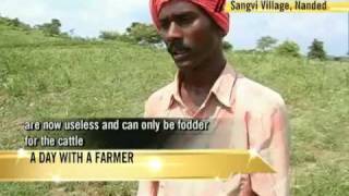 Farmer woes in Marathwada