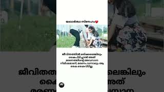 ജീവിതത്തിൽ ഒരിക്കലെങ്കിലും കൈ പിടിച്ചാൽ അത് മരണത്തിൻറെ അവസാനം നിമിഷമാണ് #shorts #shortsvideo